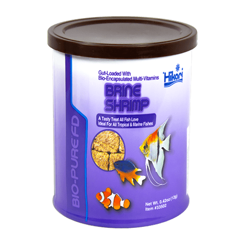 FD Brine Shrimp